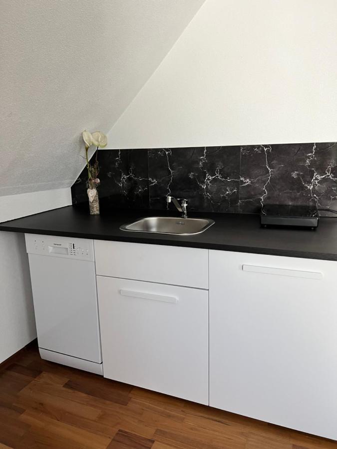 Lifestyle Apartment Sinsheim Esterno foto