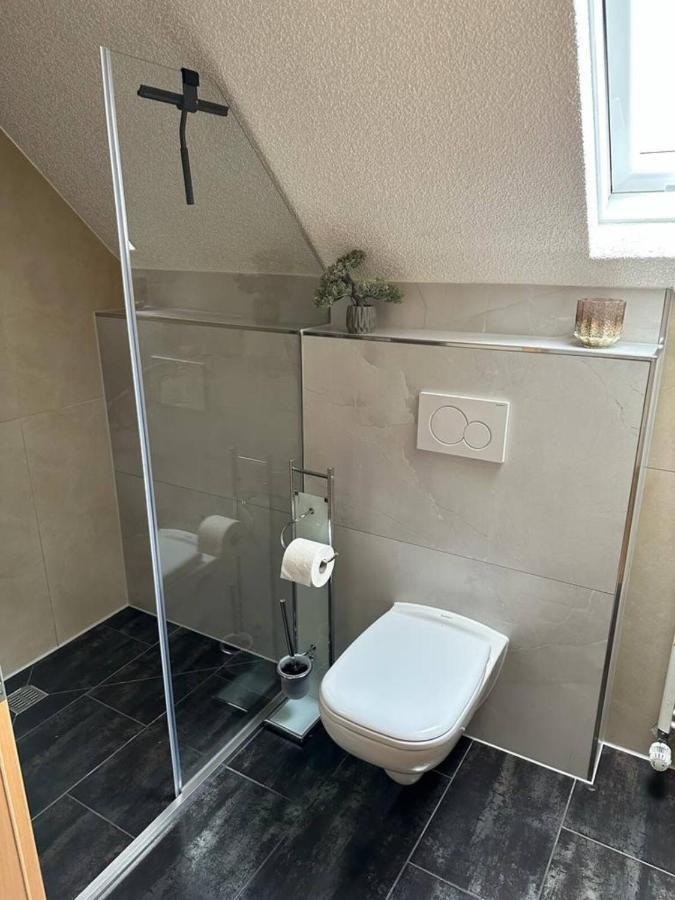 Lifestyle Apartment Sinsheim Esterno foto